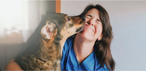 Scientifically Proven Pet Fashion